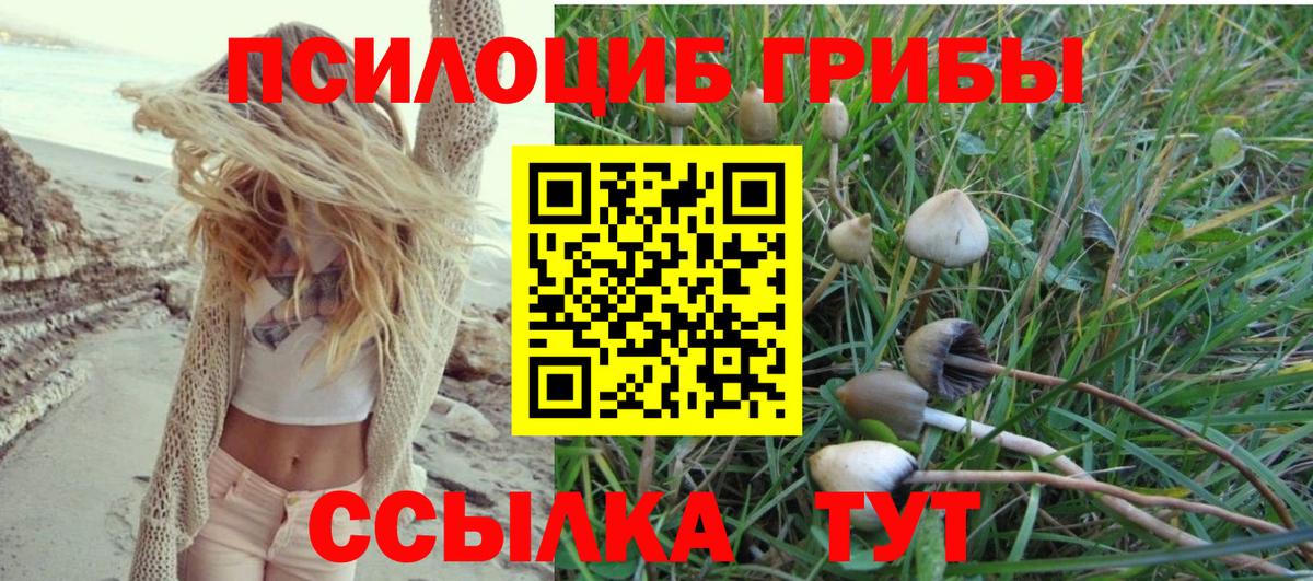 дарнет шоп  Вход с VPN  Златоуст  Псилоцибиновые грибы MAGIC MUSHROOMS 