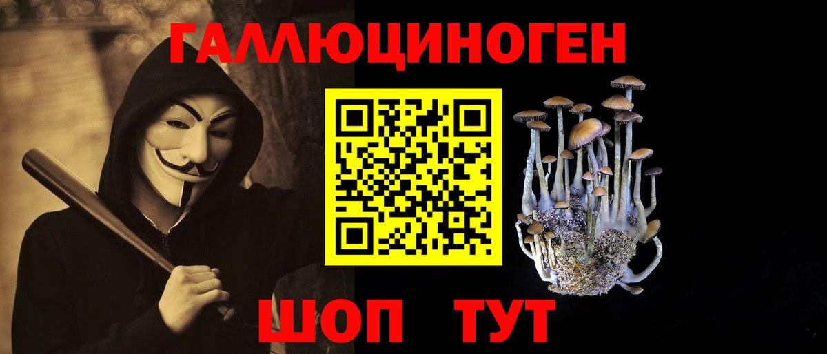 Псилоцибиновые грибы Psilocybine cubensis Златоуст